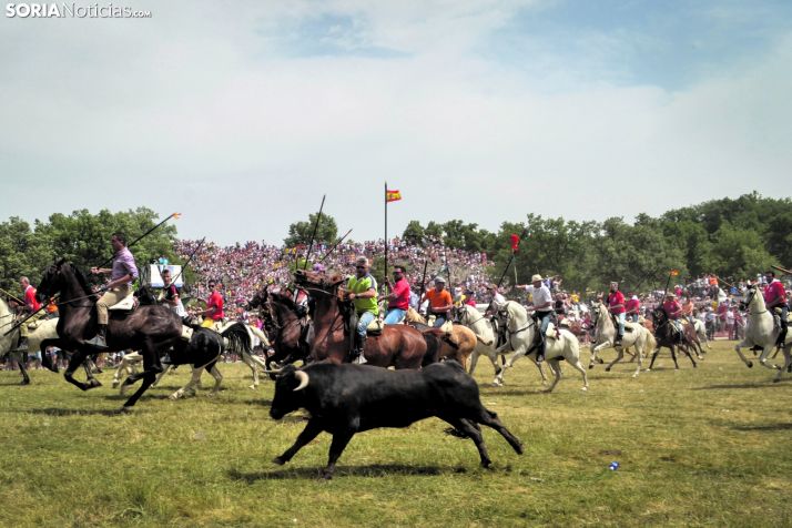 Piden que se limite el traslado de novillos en camión el Jueves la Saca