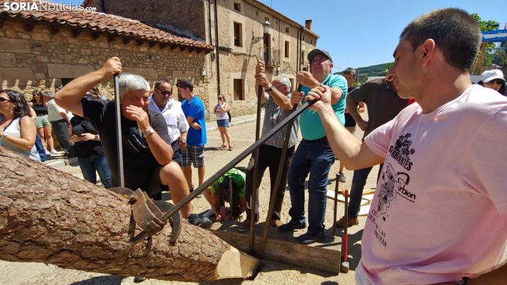 VÍDEOS Y FOTOS: Vinuesa alza su pino en sus fiestas de agosto