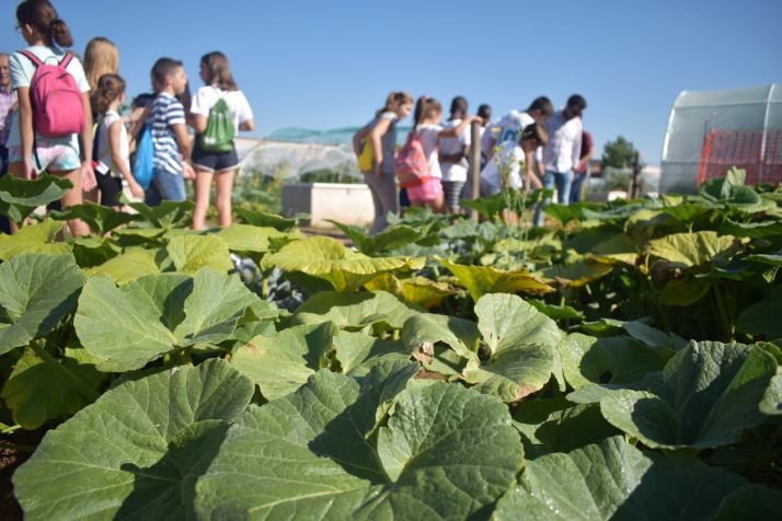 El Ayuntamiento cierra sus programas de conciliación con más de 1000 plazas entre campamentos y campus