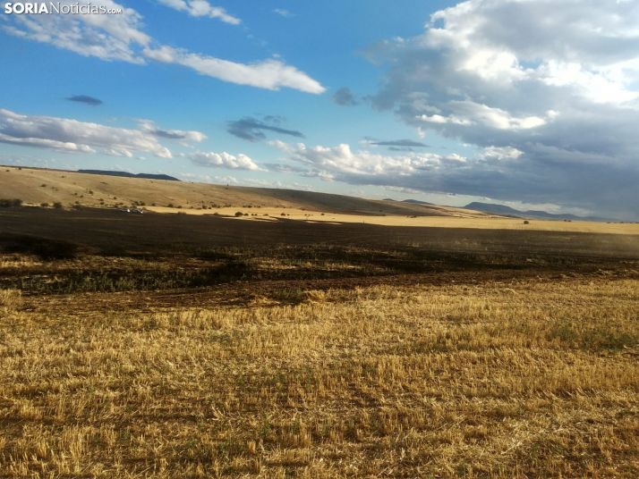 Vídeo de las labores de extinción