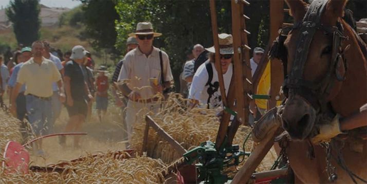 Imagen de una jornada anterior. 