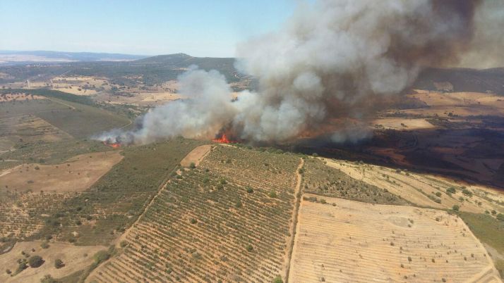 Declarado el nivel 1 en el incendio de Serradilla del Arroyo