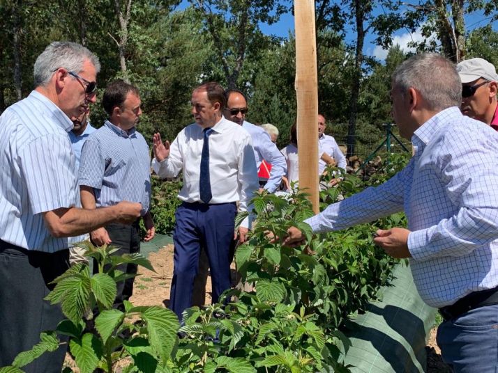 La Diputación está comprometida con el proyecto de frutos rojos del bosque de la localidad de El Royo