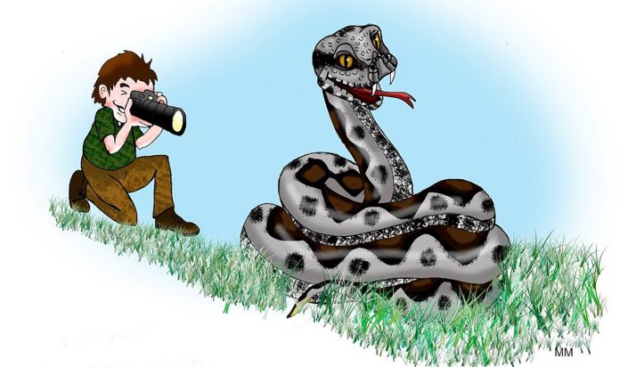 AMAR entrega los premios de su concurso fotográfico este viernes