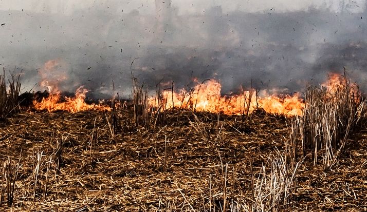 Arden 200 metros de pasto en Jaray