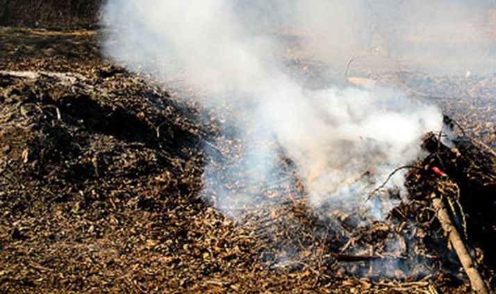 Arden 100 metros de pasto en Navaleno