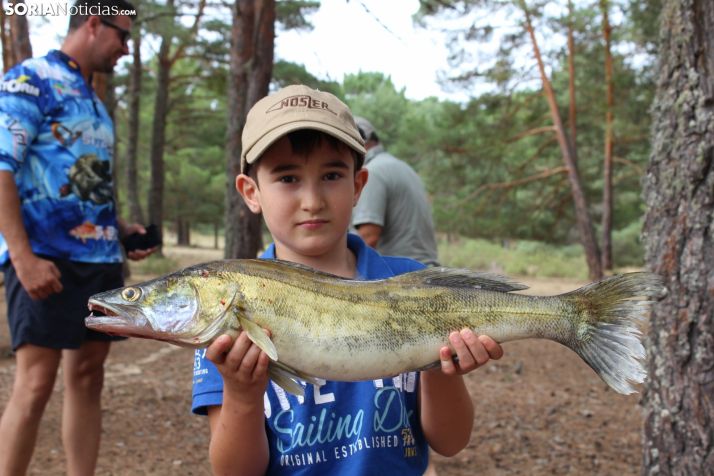 Estancia del Campano Soriano en la Cuerda del Pozo. SN