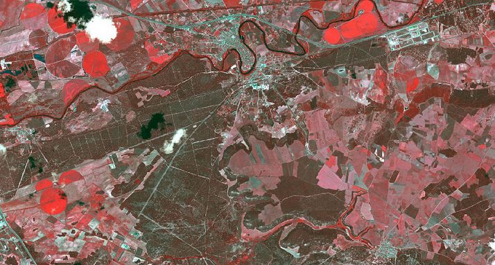 Imagen del satélite Pleiades en la que se observan masas de pino piñonero incluidas en el estudio al sur de Valladolid. /Ángela Blázquez