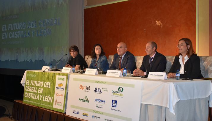 Imagen de la apertura de la VI Jornada El futuro del cereal en Castilla y León. /Jta.