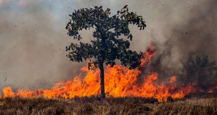Se intensifica el riesgo de incendios. 