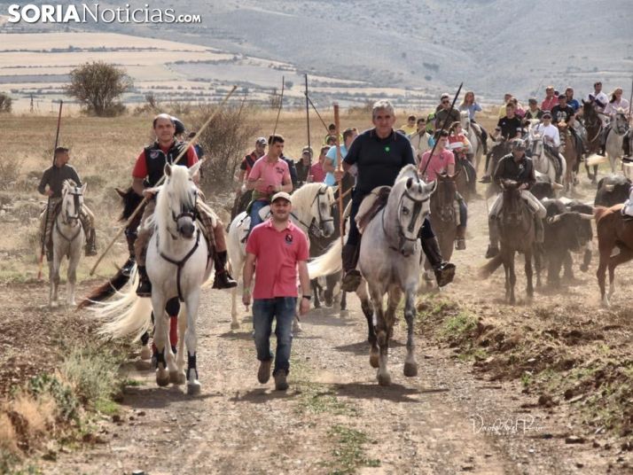 Trashumancia de Ágreda.