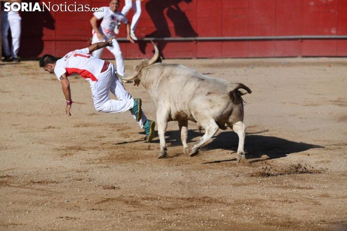 Concurso de recortadores en Ágreda. S.N.