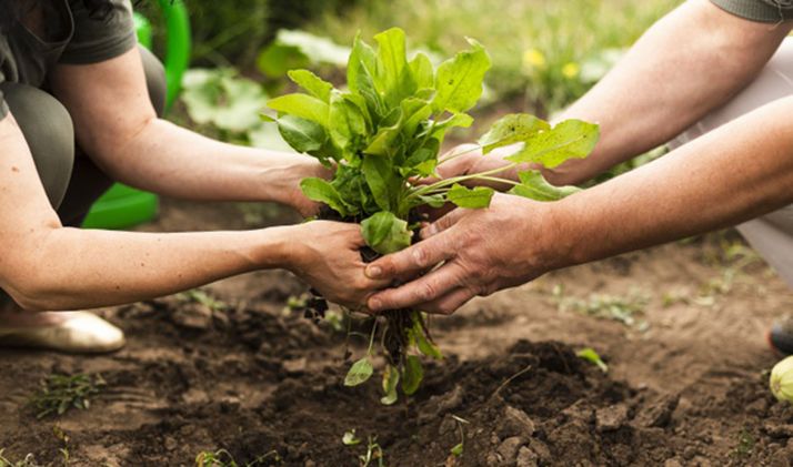 La convocatoria de ayudas agroambientales y de agricultura ecológica suma 17,5 M€ 