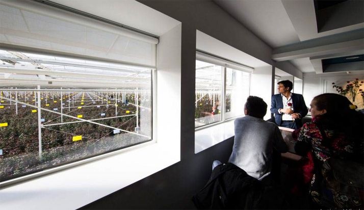 Dependencias de la planta garreña, con los invernaderos a la izquierda. 