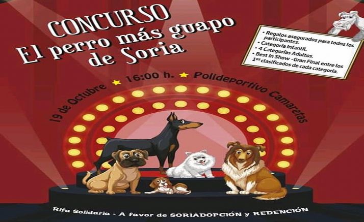 El cartel anunciador del concurso.