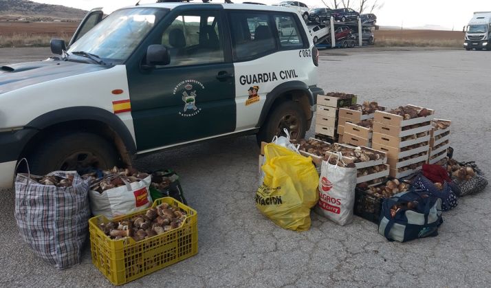 Uno de los últimos decomisos micológicos efectuados por la Guardia Civil en la provincia. /GC