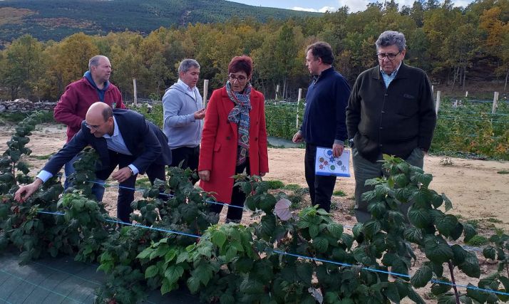 Una imagen de la visita con el dirigente ministerial (dcha.) y responsables del proyecto.  