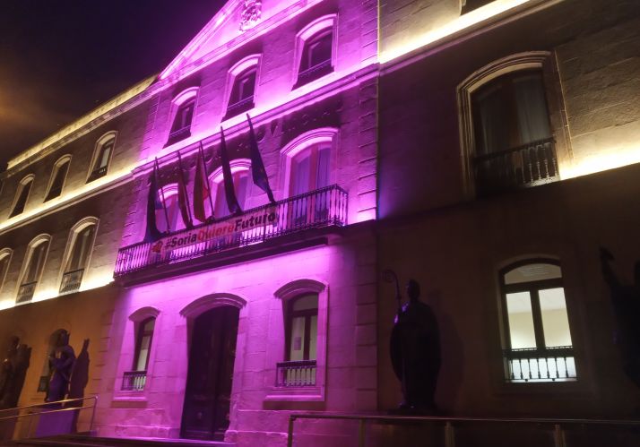 La lucha contra el cáncer de mama tiñe de rosa la Diputación