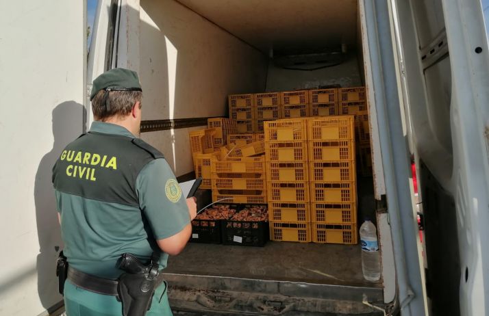 Inmovilizada una furgoneta comercial con más de 750 kilos de setas