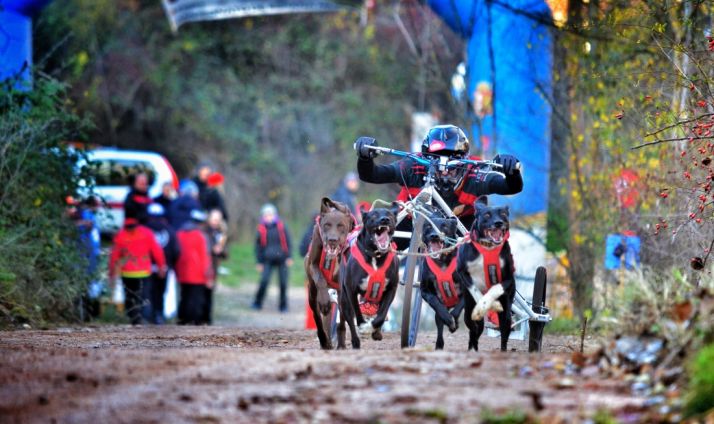 Jorge García y Sara Rodríguez, dos sorianos en el Mundial de Mushing