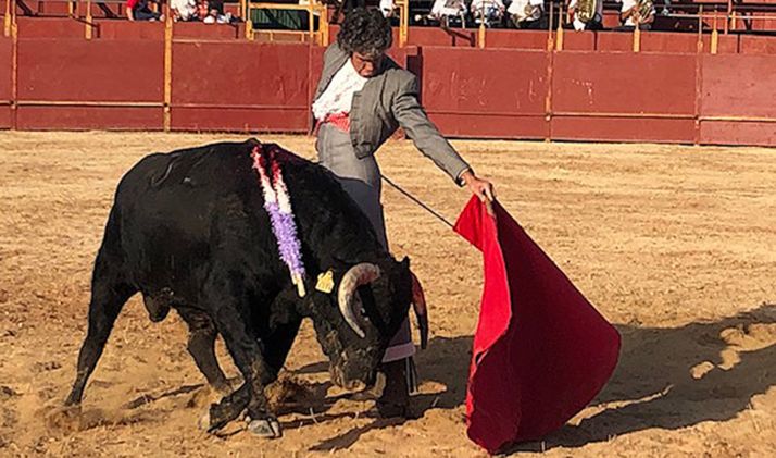 Sanz, en un natural. 