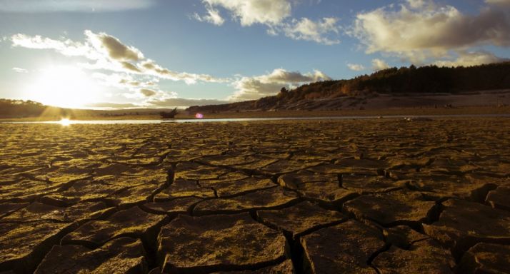 Se aprueba la segunda línea de ayudas a las explotaciones agrarias para paliar los efectos de la sequía