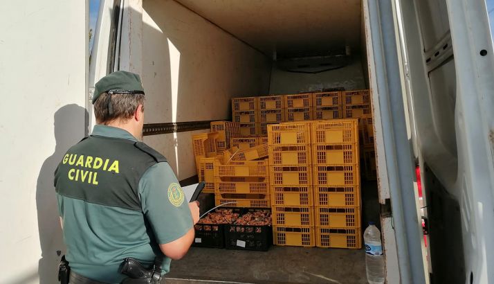 Un agente de la GC con la recolección incautada. /GC