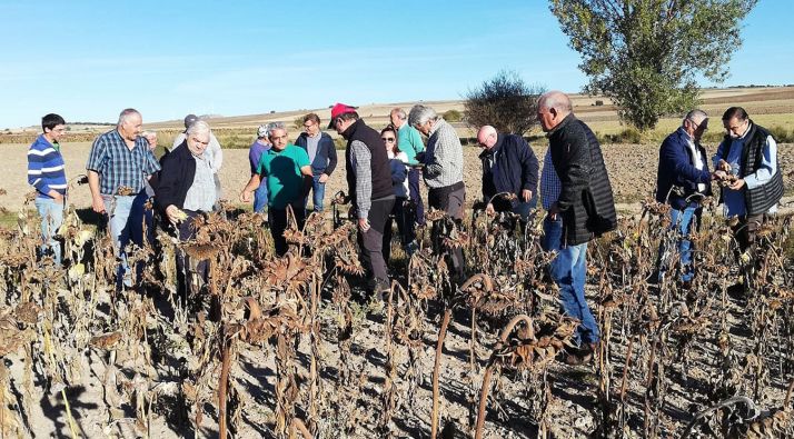 Una imagen de la jornada de UPA en Navalcaballo este martes. 