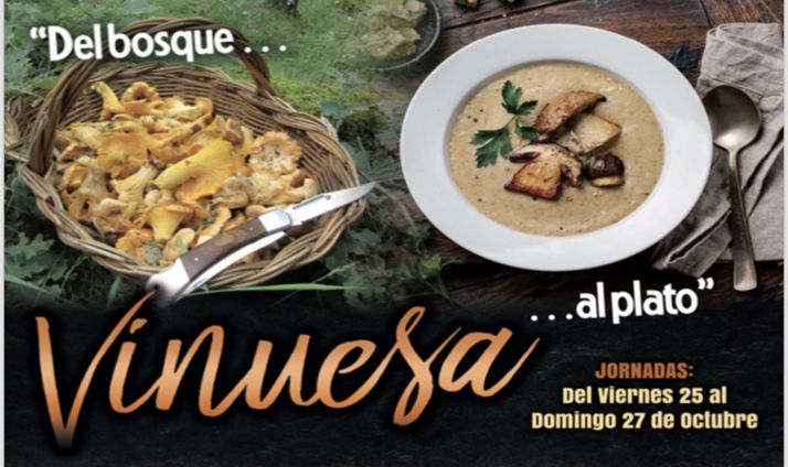 Todo listo para las XVI Jornadas micológicas de Vinuesa