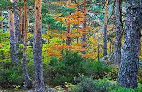 Valladolid acoge la jornada INCREDIBLE sobre alternativas a la adaptación del cambio climático