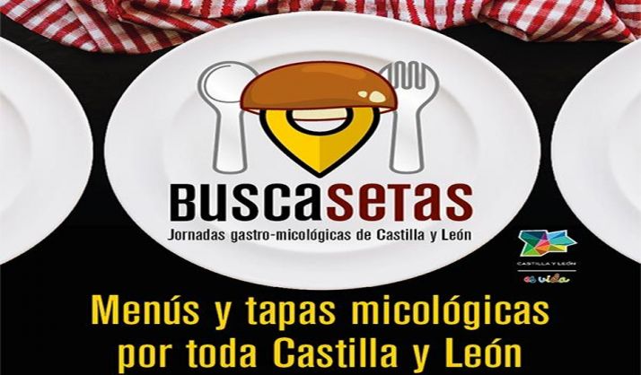 El plazo de Buscasetas, hasta el 23