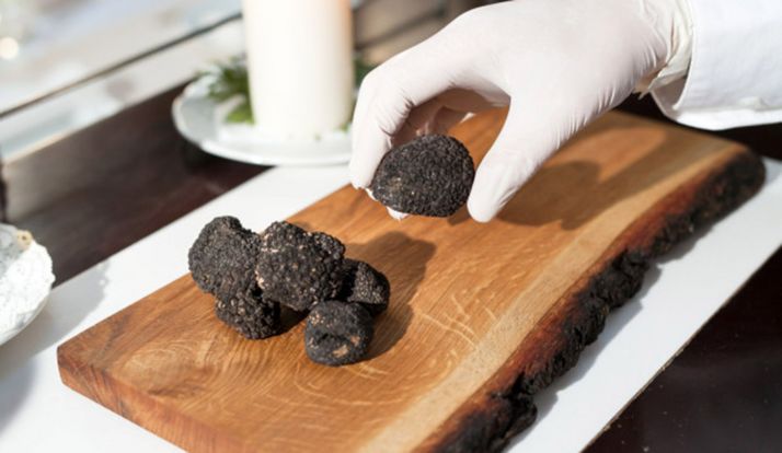 Cocinando con trufa tendrá talleres monográficos para conocer el manejo de este hongo