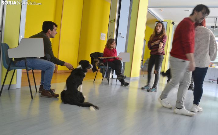 Una imagen del monográfico canino este sábado. /SN