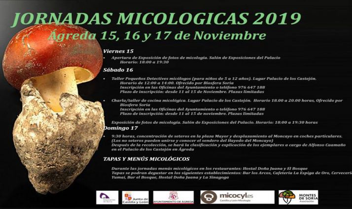 El programa de las jornadas.