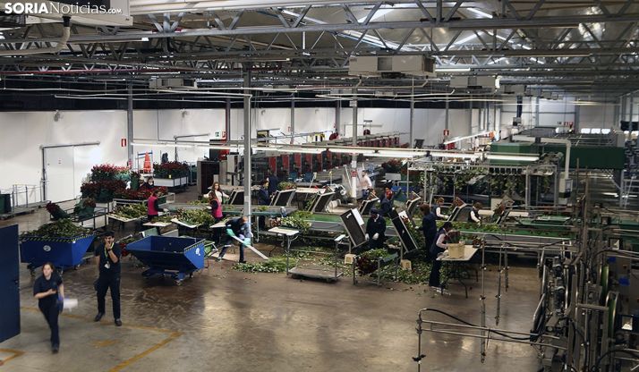 AMPLIACIÓN: El desempleo de octubre deja en Soria 293 parados más