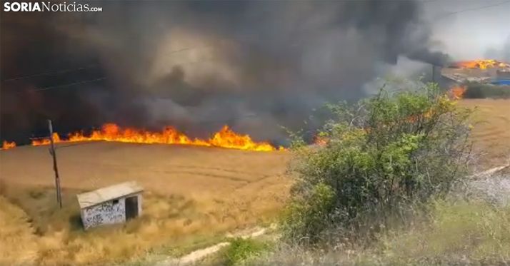 Una imagen del incendio en San Esteban de Gormaz que calcinó 40 hectáreas. /SN