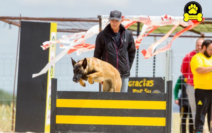El can con su dueño durante las pruebas. 