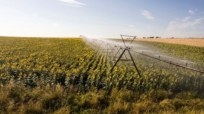 El ‘Plan de Impulso de Infraestructuras Agrarias de Interés General’ prevé habilitar 30.000 hectáreas de regadío esta legislatura
