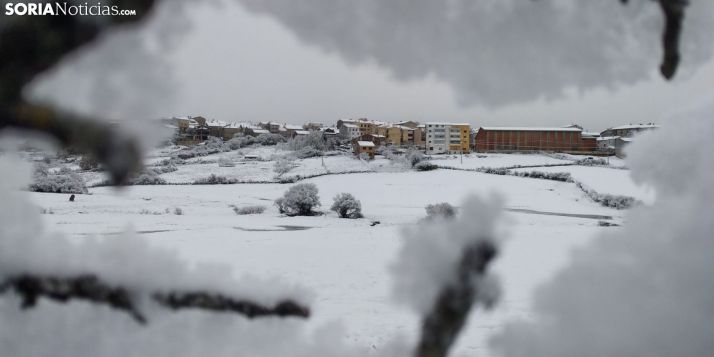 Alrededores de Covaleda después de las nieves. /Rosaura Mateo