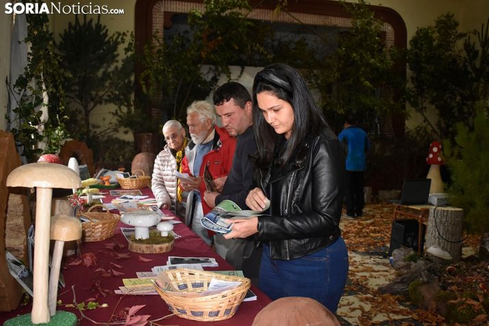 GALERÍA: Vistosas y sabrosas setas en Almarza