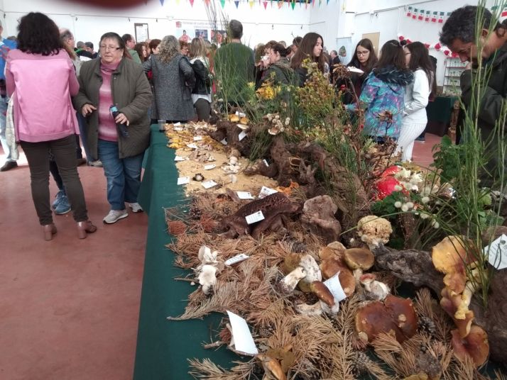 Borobia cierra hoy sus jornadas micológicas 2019.