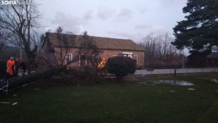 La caída de árboles obliga a cortar varias carreteras