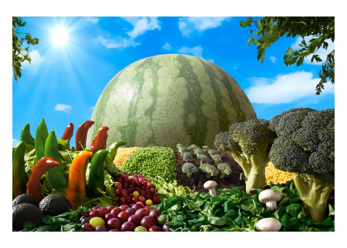 Rodrigo Martínez se lleva el premio fotográfico Dieta Mediterránea de la FCCR