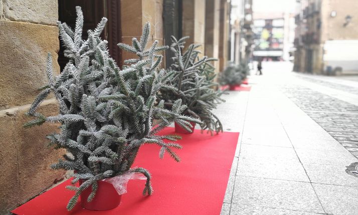 Abetos a la entrada de un establecimiento en la capital soriana. /FECSoria