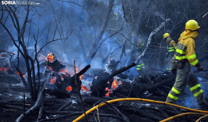 Labores de extinción de un incendio forestal en la provincia. /SN
