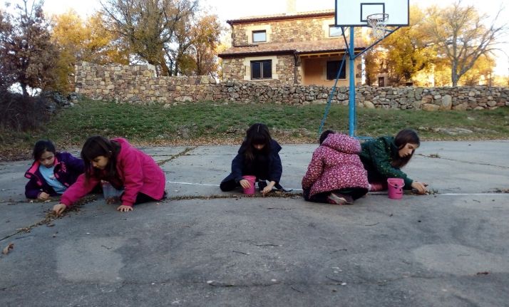 Espejo de Tera se llena este sábado de arrendajos repobladores