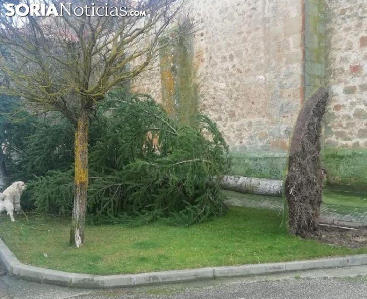 FOTOS Y VÍDEO: La borrasca Elsa causa estragos en la provincia