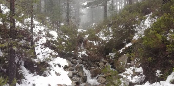 Deshielo en la sierra de Urbión, en Duruelo de la Sierra. /Agustín Sandoval.