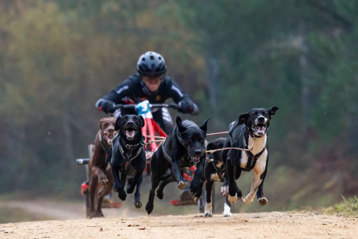 El olvegueño Jorge García, subcampeón de España de Mushing en Tierra