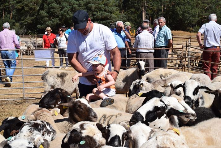 Soria aglutinará 16 ferias durante 2020 según el calendario de la Junta